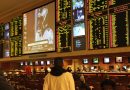 A Successful Casino Marketing Guide to Betting Exhibitions